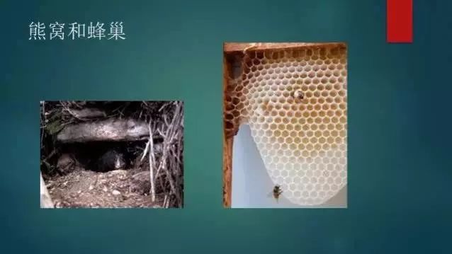 区块链模拟交易_区块链虚拟币的多少种骗局_虚拟货币与国际汇款的完美结合：区块链如何改变传统支付模型