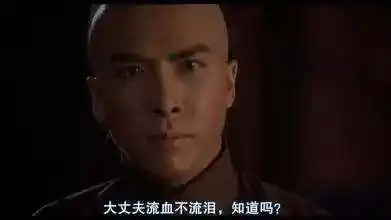 甄子丹的武打电影有哪些_甄子丹的经典武打片_甄子丹的经典武打角色分析