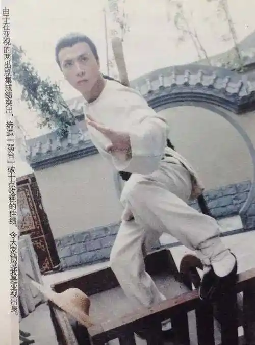 甄子丹的经典武打角色分析_甄子丹的经典武打片_甄子丹的武打电影有哪些