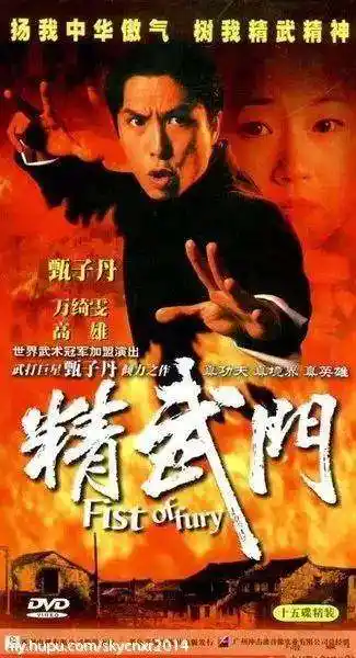 甄子丹的武打电影有哪些_甄子丹的经典武打角色分析_甄子丹的经典武打片