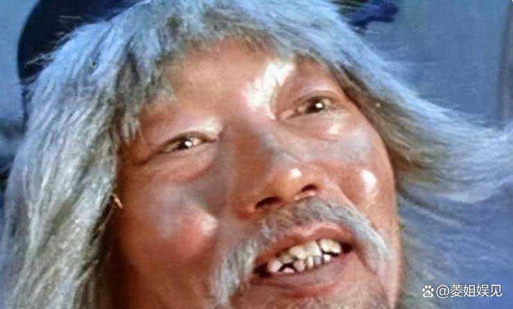 甄子丹的经典武打角色分析_甄子丹的武打电影有哪些_甄子丹的经典武打片