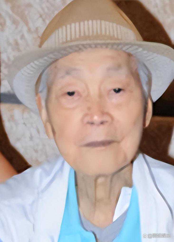 甄子丹的经典武打角色分析_甄子丹的武打电影有哪些_甄子丹的经典武打片