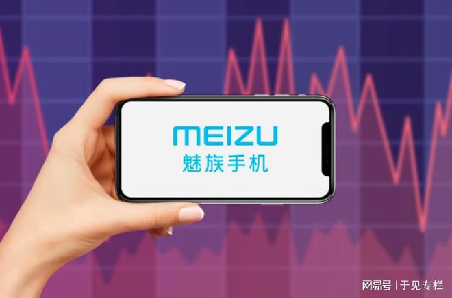 魅族的市场份额与销售趋势分析_魅族市场占有率巅峰时期_魅族市场细分分析